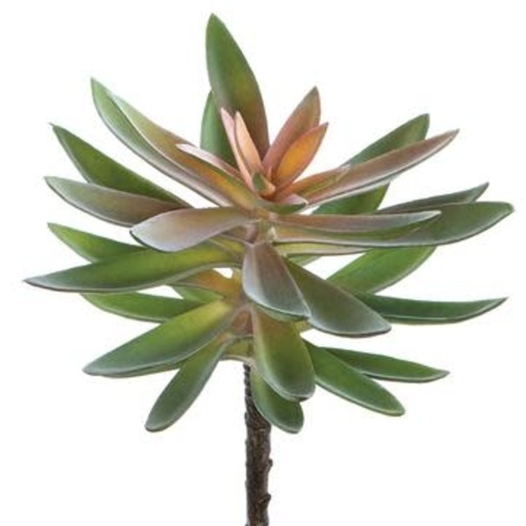 8.5" Agave Pick- Green