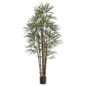 82.6" Honey Rhapis Palm Tree- Green