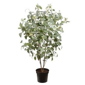 67" Eucalyptus Plant- Green