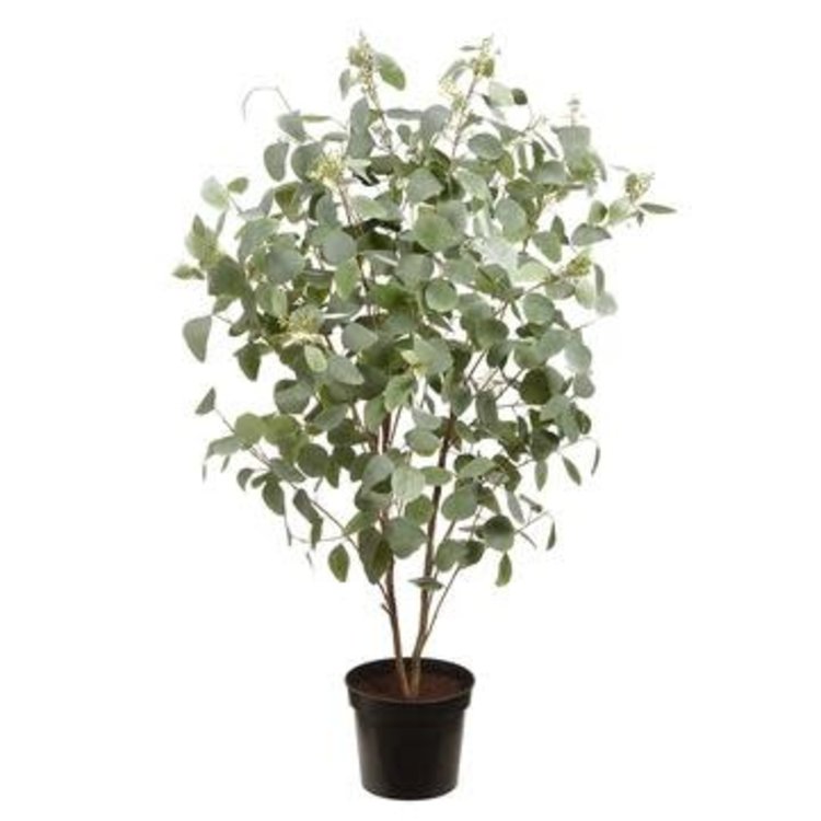 67" Eucalyptus Plant- Green