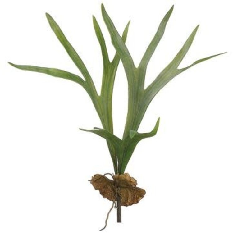 22.5" Staghorn Plant- Green