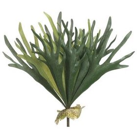 19" Staghorn Fern Bush- Green Frosted