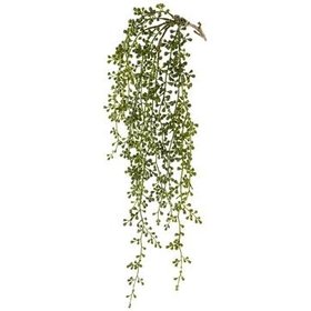 String of Pearl Hanging Spray, Green