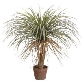 Desert Palm Tree- Green Beige