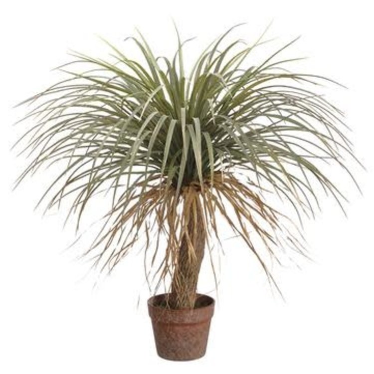 Desert Palm Tree- Green Beige