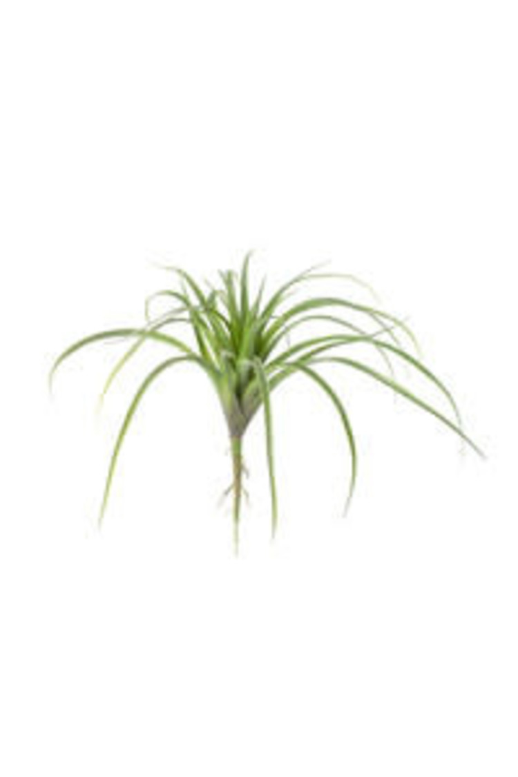 Artificial Air Plant, Large