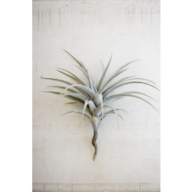 Giant Artificial Air Plant