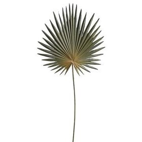 30" Fan Palm Spray