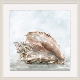 Shell in the Water 4