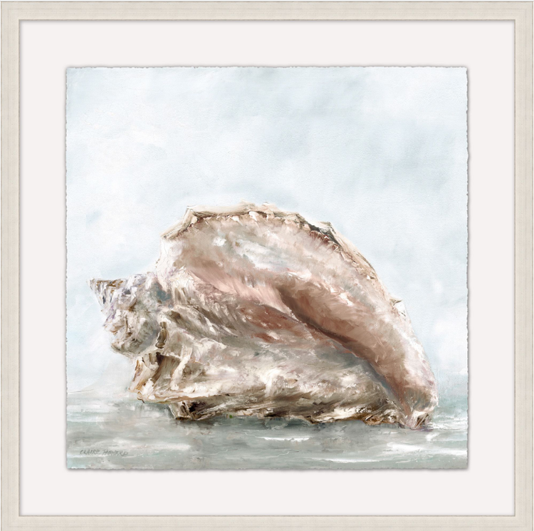 Shell in the Water 4