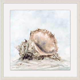 Shell in the Water 1