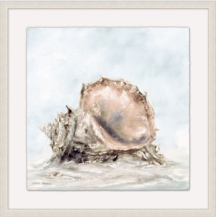 Shell in the Water 1