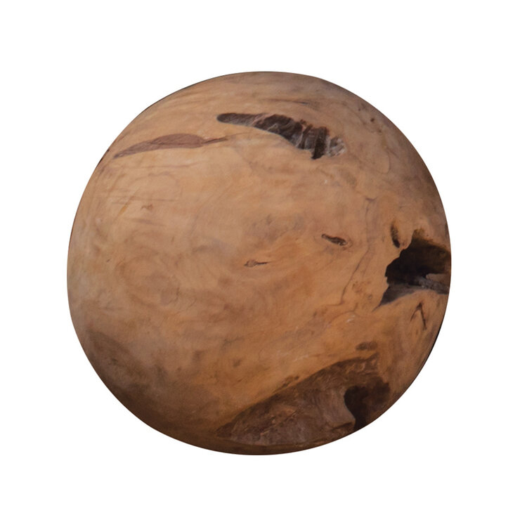 Padmas Teak Root Ball