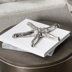 Silver Starfish
