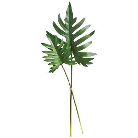 Split Leaf Selloum Stem- Bundle of 2
