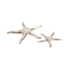 Silver Starfish