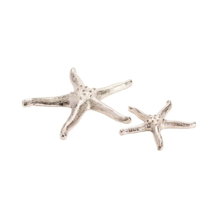 Silver Starfish