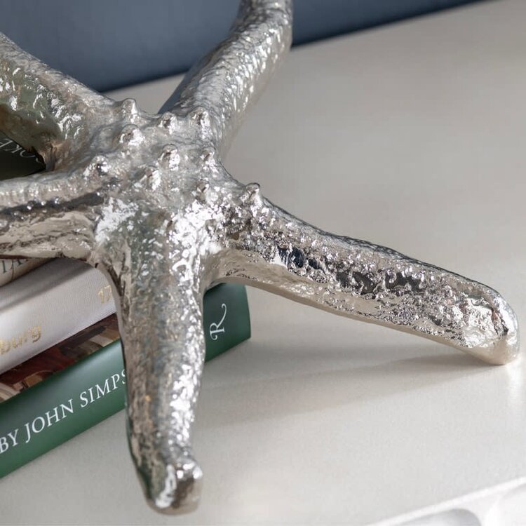 Silver Starfish