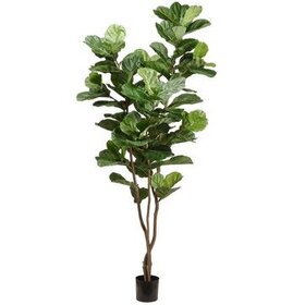 90.5" Fiddle Leaf Tree in Plastic Pot- Green