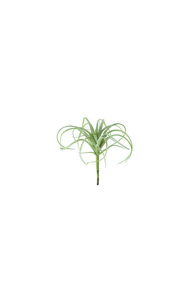Artificial Air Plant, Small