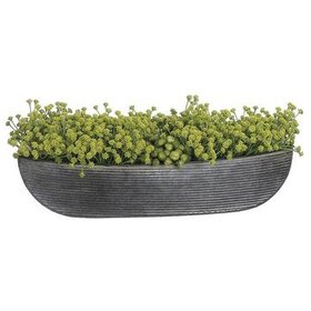 6" Baby's Breath / Meadow Flower