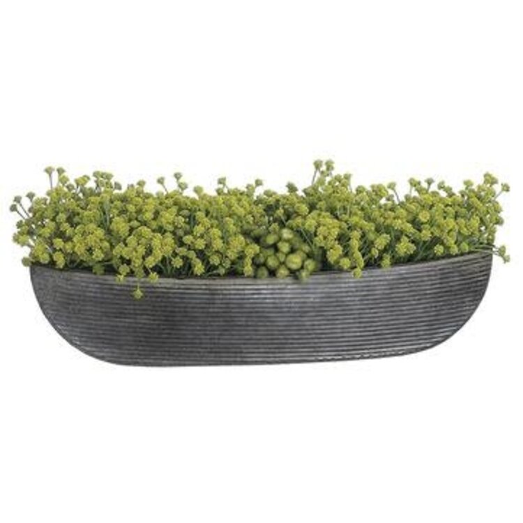 6" Baby's Breath / Meadow Flower