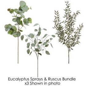 Eucalyptus/Italian Ruscus Bundle
