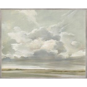 Capturing the Passing Cloud