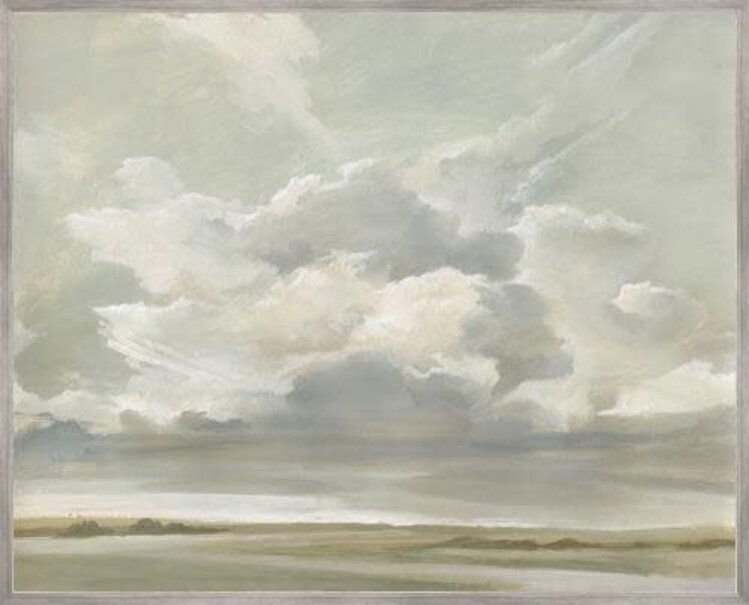 Capturing the Passing Cloud