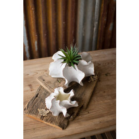Organic Ceramic Planter-