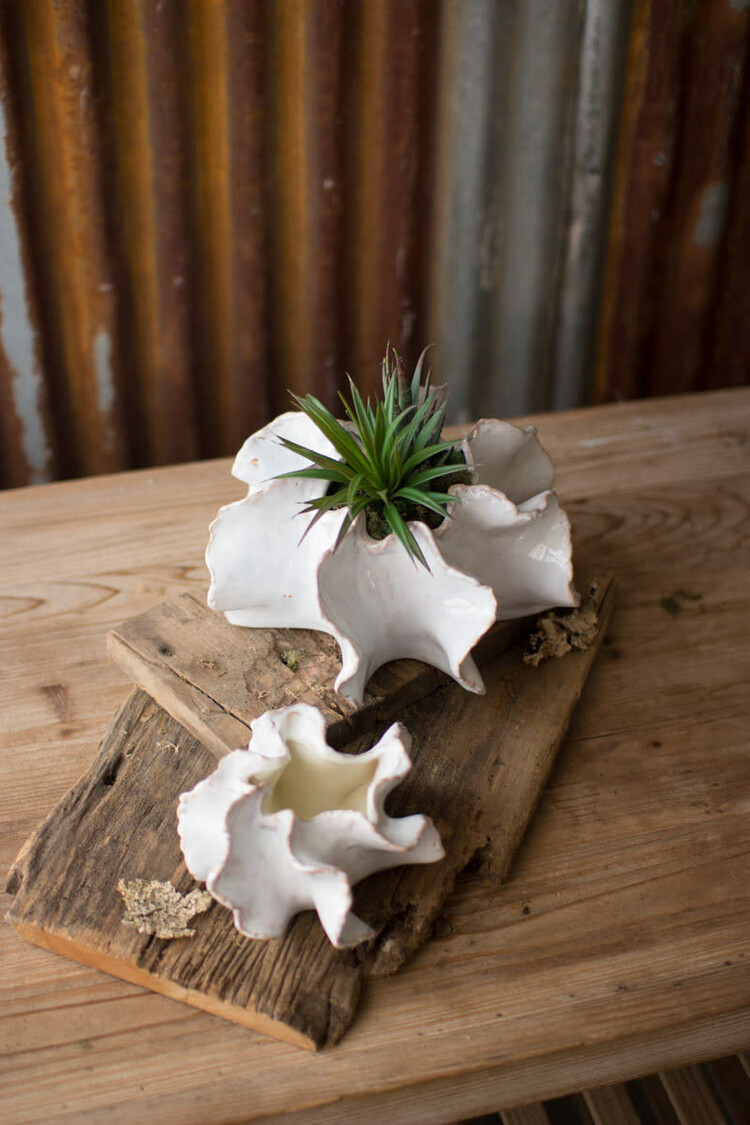 Organic Ceramic Planter-