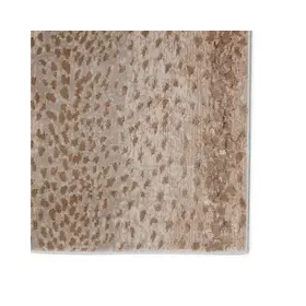 Catalyst-CTY13, 11'8'' x 15'