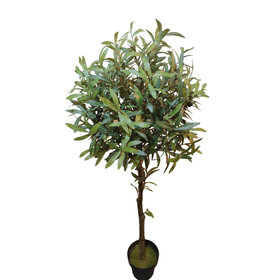 Jes & Gray Olive Tree, 55"