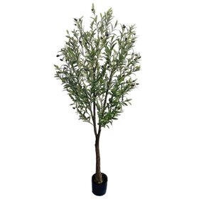 Jes & Gray Olive Tree, 71" H