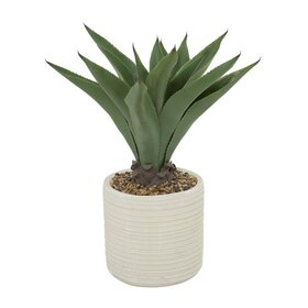 Jes & Gray Agave Plant in Ribbed Pot, 31" H