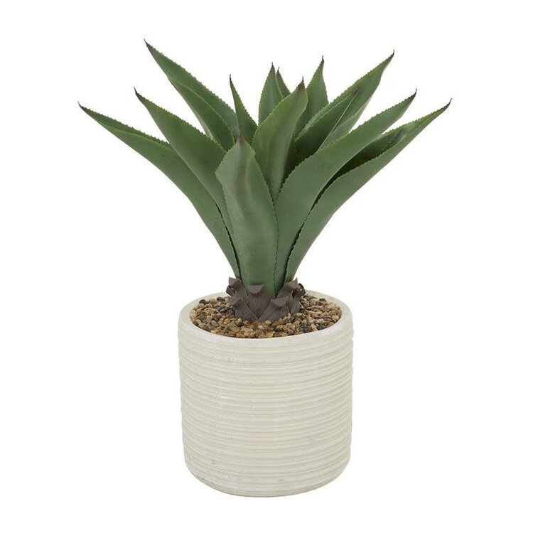 Jes & Gray Agave Plant in Ribbed Pot, 31" H