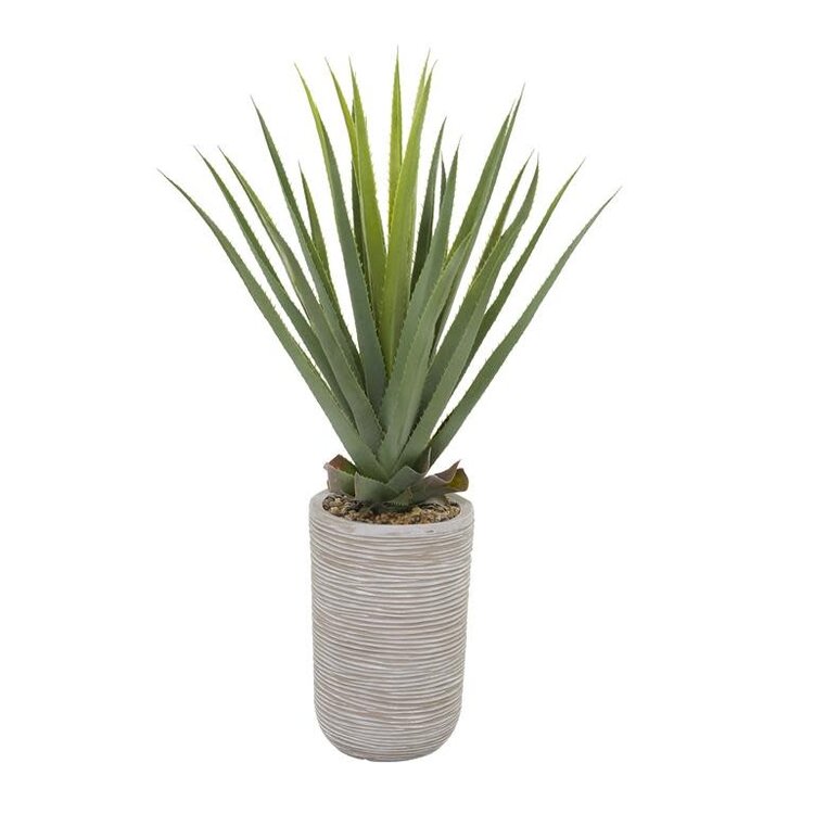 Jes & Gray Agave Plant in Ribbed Pot, 41" H