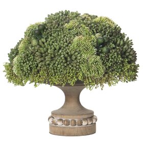 Sedum/Protea in Wood Footed Plate