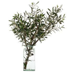 32" H Olive Branch in Glass Vase
