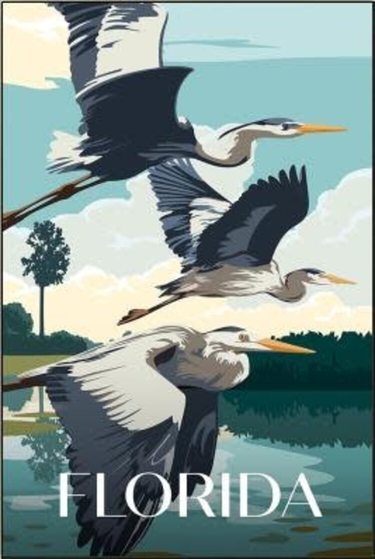 Florida Poster