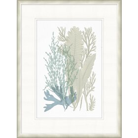 Lowcountry Sea Fan 2