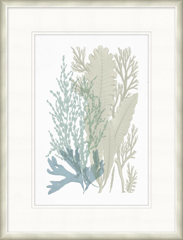 Lowcountry Sea Fan 2