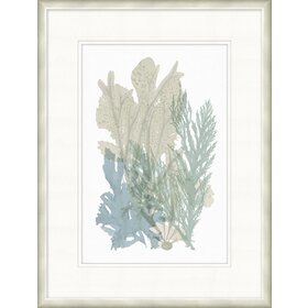 Lowcountry Sea Fan 5