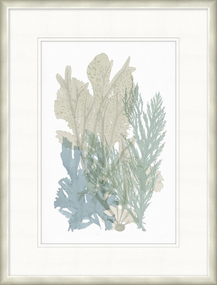 Lowcountry Sea Fan 5