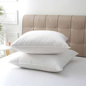 Threads Republic Decorative Down Pillow Insert, 24 x 24