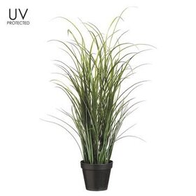 36" UV Protected Tall Grass in Pot