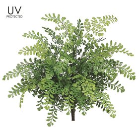 19" UV Protected Maidenhair Fern Bush