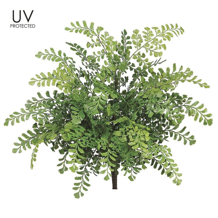 19" UV Protected Maidenhair Fern Bush