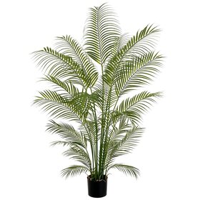72" Areca Palm Tree in Plastic Pot