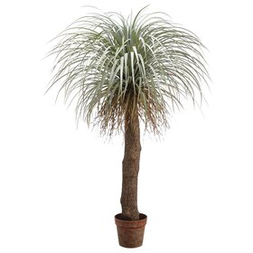 54" Desert Palm Tree